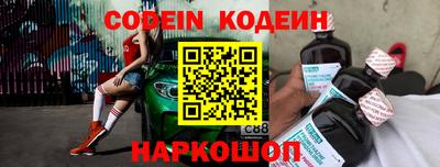 крисы Можга