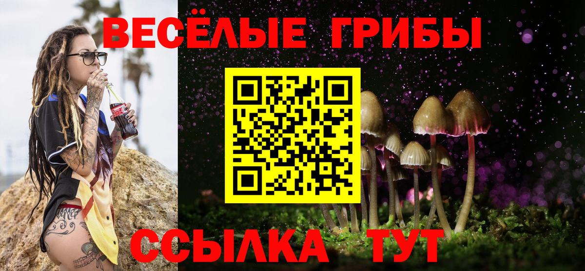 хочу наркоту  Псилоцибиновые грибы мухоморы  Верхняя Пышма  Вход с VPN  Псилоцибиновые грибы мухоморы 