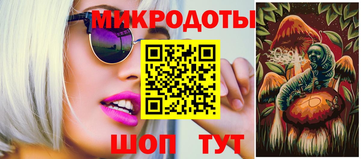 Псилоцибиновые грибы Psilocybe Верхняя Пышма